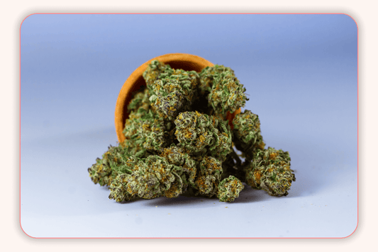 Tout ce que vous devez savoir sur la marijuana et les menstruations