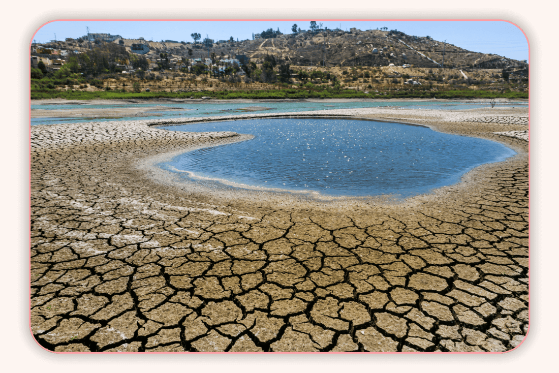 Les Effets Du Changement Climatique Sur La Flore Intime