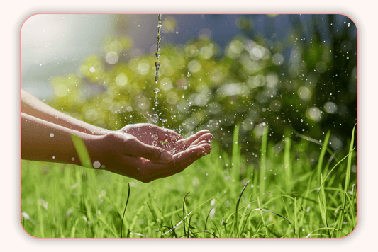Flore Intime Et Produits De Soin Naturels : À Quoi Faire Attention