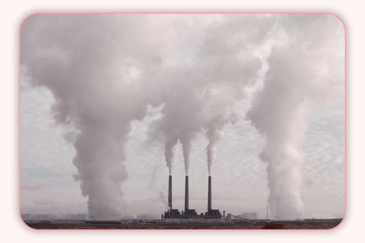 Flore Intime Et Pollution : Protéger Sa Santé Dans Un Monde Moderne