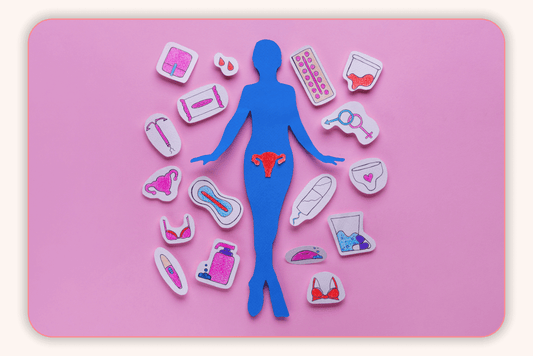 Santé Urinaire Et Flore Vaginale : Pourquoi Elles Sont Liées