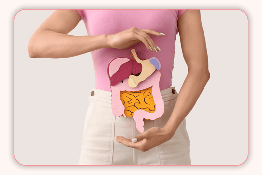 Les Bienfaits des Enzymes Digestives : Que Font-elles pour Vous ?