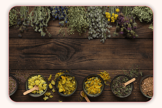 Flore Intime Et Médecine Alternative : Les Bienfaits Des Plantes Médicinales