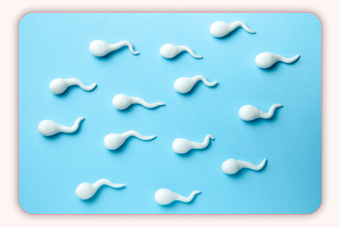 5 Moyens d'Améliorer la Santé de Vos Spermatozoïdes : Démystification des Mythes Courants
