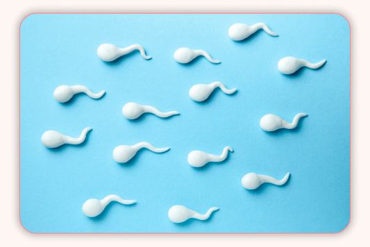 5 Moyens d'Améliorer la Santé de Vos Spermatozoïdes : Démystification des Mythes Courants