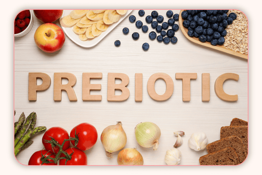 Prébiotiques Et Flore Intime : Une Synergie Essentielle