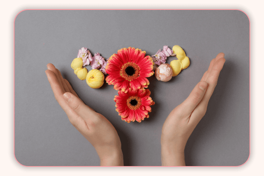Les Impacts Des Hormones Sur La Flore Intime Pendant Le Cycle Menstruel