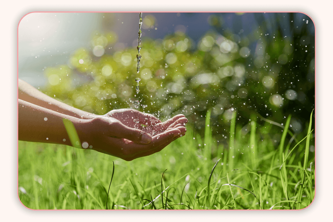 Flore Intime Et Produits De Soin Naturels : À Quoi Faire Attention