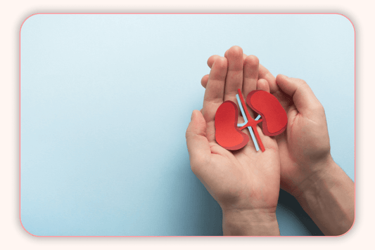 Flore Intime Et Maladies Chroniques : Soutenir Son Corps Au Quotidien