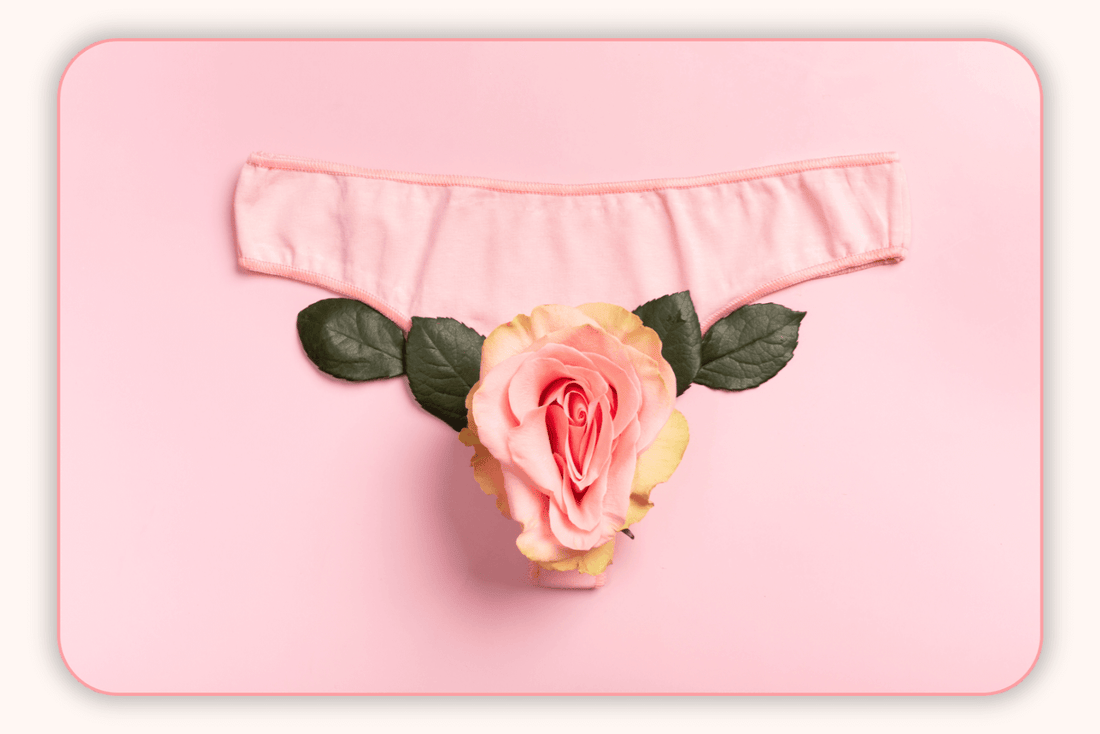 Pourquoi La Flore Vaginale Est Essentielle Pour Une Bonne Immunité