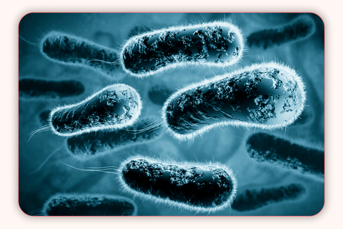 Vaginose Bactérienne Pendant La Grossesse : Ce Que Vous Devez Savoir