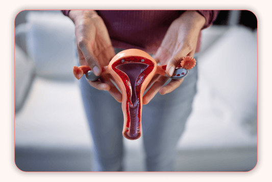 Meilleur Probiotiques pour les Femmes : Qu’est-ce que les Probiotiques Vaginales ?