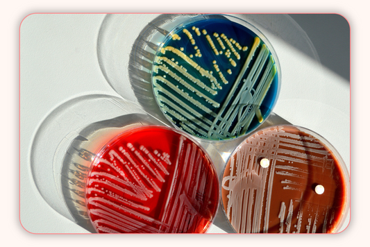 La vaginose bactérienne peut-elle causer la maladie inflammatoire pelvienne ?