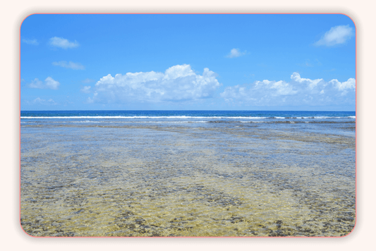 Le régime des zones bleues pour le bien-être féminin