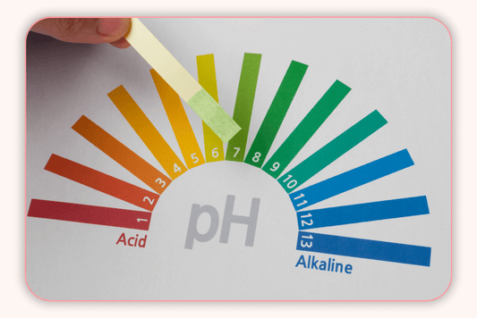 L’importance D’un Bon pH Pour Une Flore Intime Équilibrée