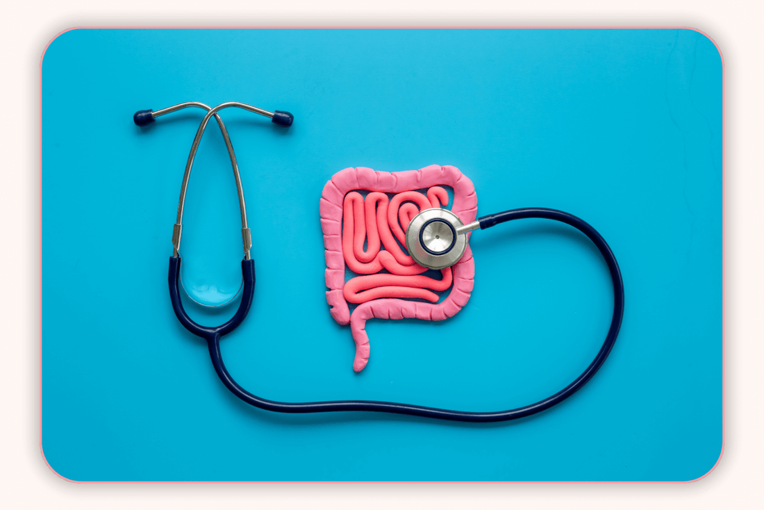 Santé Intestinale Et Flore Intime : Une Relation Cruciale