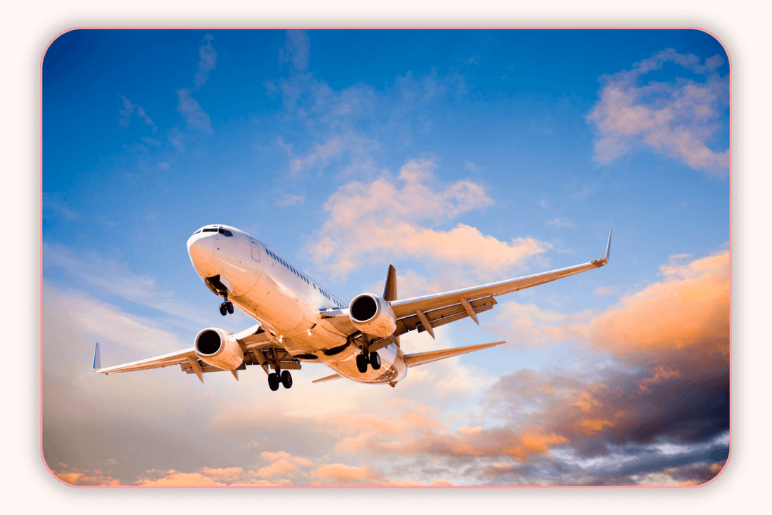 Flore Vaginale Et Impact Des Trajets Longs En Avion