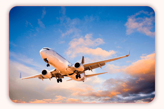 Flore Vaginale Et Impact Des Trajets Longs En Avion