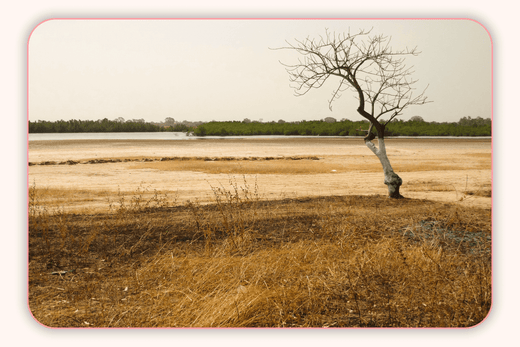 Les Astuces Pour Prévenir Les Irritations En Environnements Secs