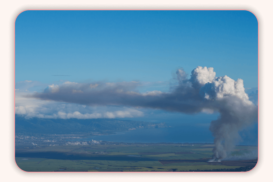 Comment La Flore Intime S’Adapte Aux Changements De Pression Atmosphérique