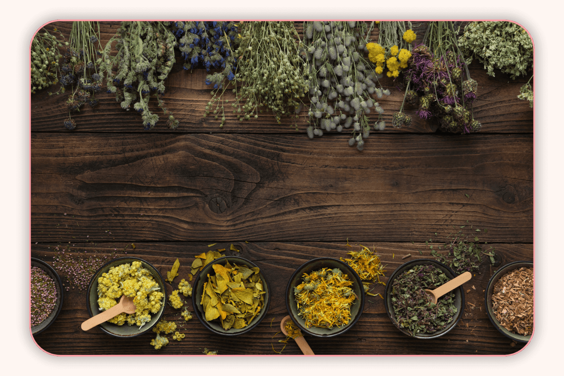 Flore Intime Et Médecine Alternative : Les Bienfaits Des Plantes Médicinales
