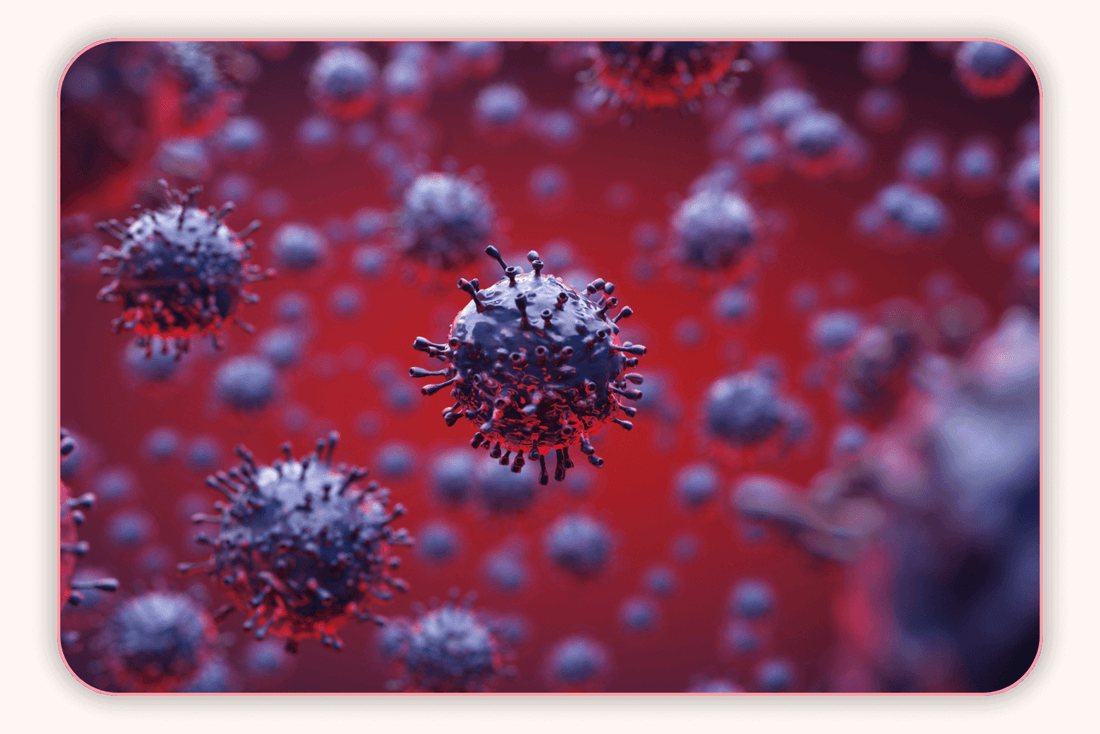 Les Signes D’un Déséquilibre Microbien Et Comment Y Remédier Rapidement